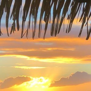 Meet your Posher, Tabitha